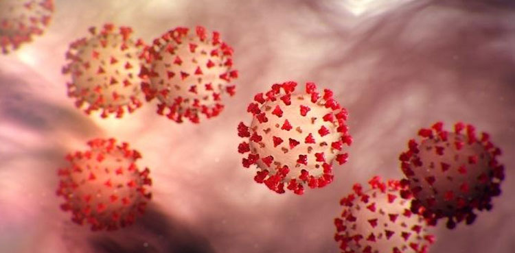 Ultrasound kills coronavirus, new study finds