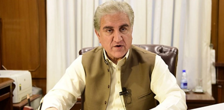 Muslim world condemned Israeli atrocities in Palestine: FM Qureshi