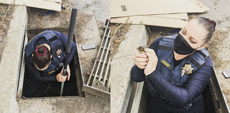 cellphone ducklings save storm drain