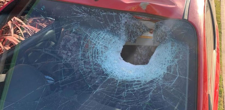 Driver luckily escapes as firewood smashes car windscreen