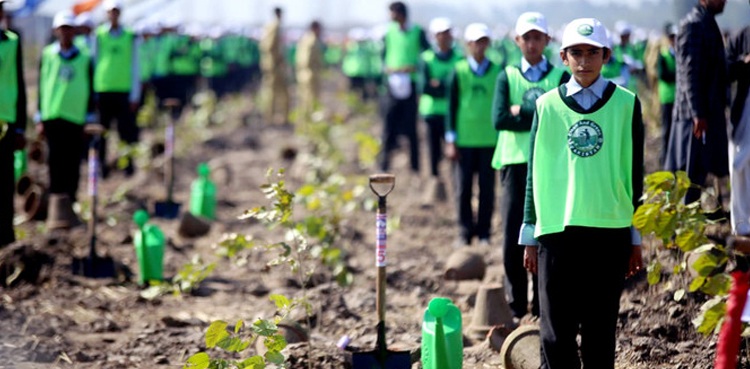 Green Jobs Pakistan