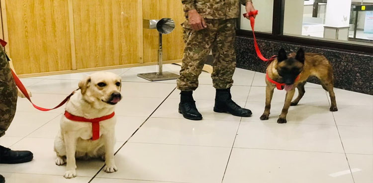 Peshawar Airport Sniffer Dogs