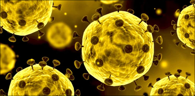 pakistan coronavirus cases deaths