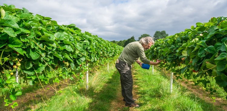 EU to finalise huge farm policy overhaul