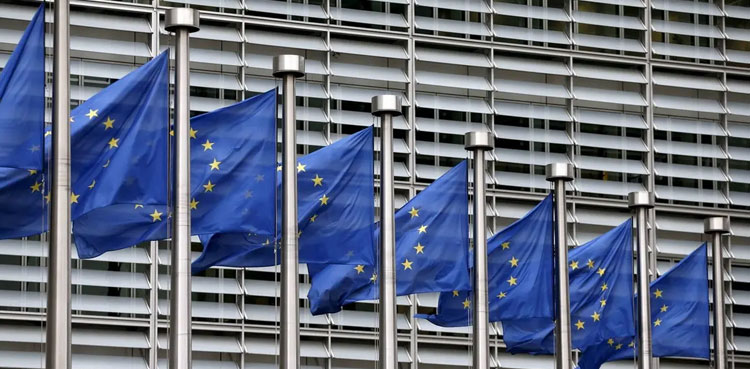 EU foreign ministers to hold urgent meeting on Palestine issue