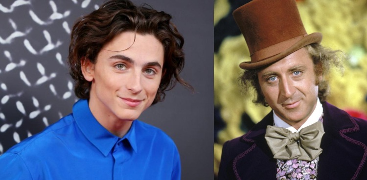 Timothee Chalamet Willy Wonka