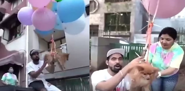 indian-youtuber-arrest-dog-flying-balloon