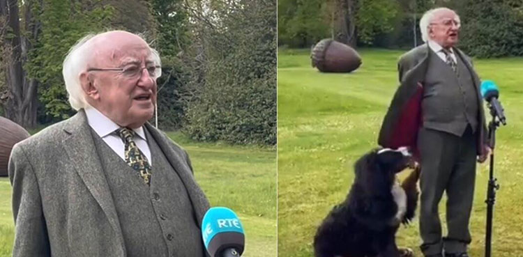 ireland-president-dog-interrupt