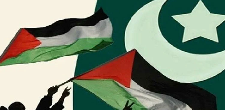 Pakistan Palestine Solidarity Day