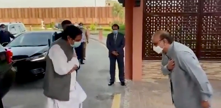 Pervaiz Elahi Asif Zardari meeting