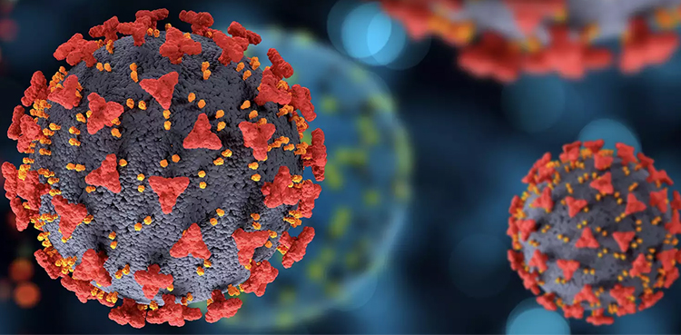 Explainer: What is the Delta variant of coronavirus with ...