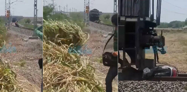 Man narrowly escapes being hit by train, bike crushed: Watch video