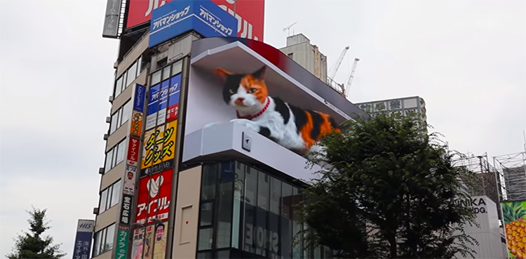 cat-augmented-reality-high-tech-billboard-tokyo
