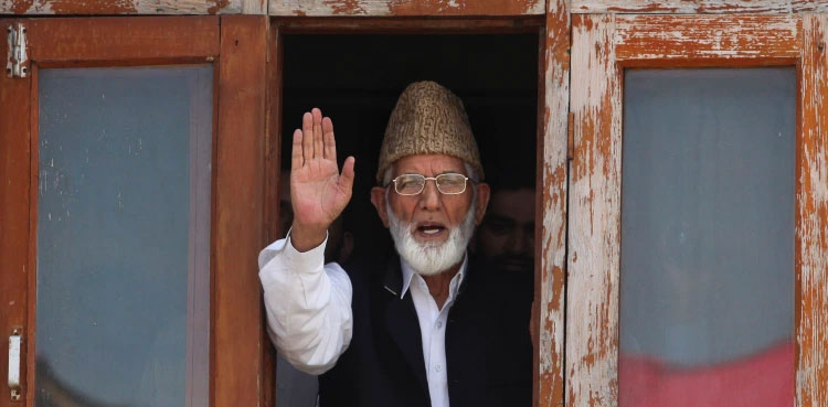 syed ali geelani, Zardari Syed Ali Geelani