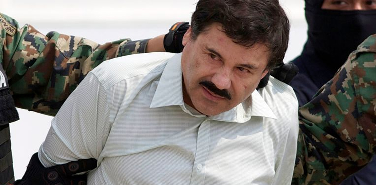 drug lord el chapo safe house mexico lottery