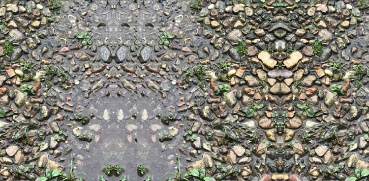 Can you spot the frog hidden in this viral picture?