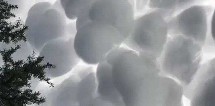 Viral video: Rare cotton ball-like clouds spotted in Argentina