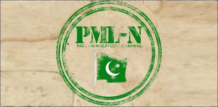 reorganisation pml-n punjab grassroots level lg polls