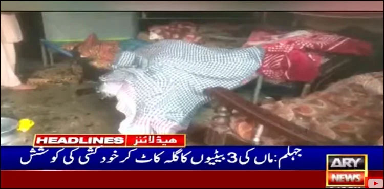 jhelum woman minor daughters killing suicide