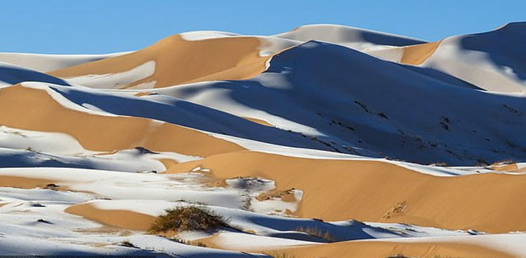 sahara-desert-snow