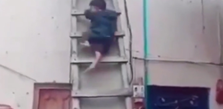 Little boy, climbs down, ninja, viral