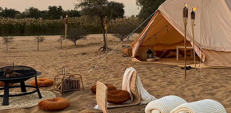 Dubai global visitors camping