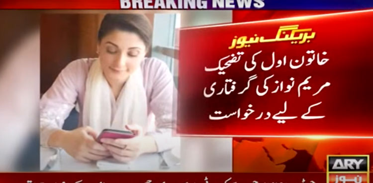 PTI MNA FIA arrest Maryam Nawaz