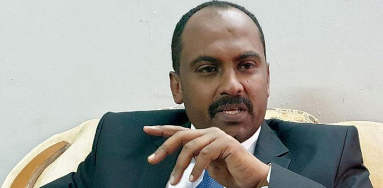 Mohamed Al-Faki Suleiman, transitional council member, sudan