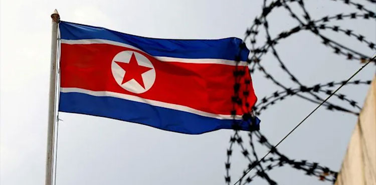 North korea response us allies