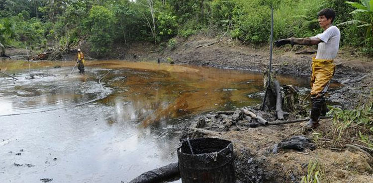 Oil spill, nature reserve, Ecuadoran Amazon