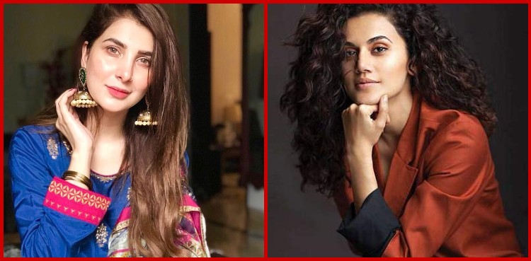 taapsee pannu, areeba habib, looop lapeta, hollywood,