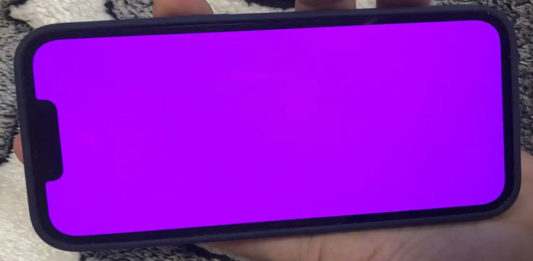 iphone 13 pink screen