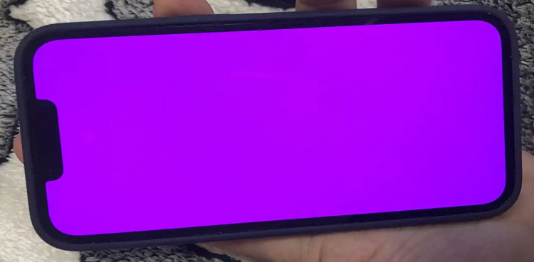 iphone 13 pink screen