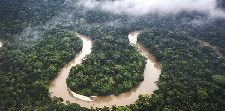 Lost children found alive, 40 days, Colombian Amazon