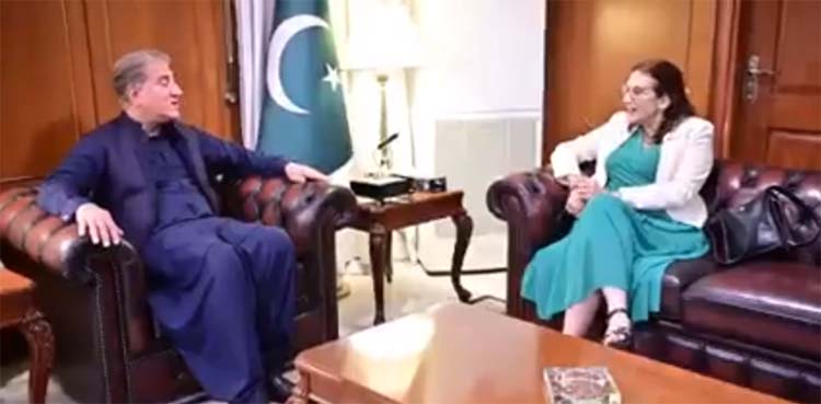 EU ambassador meets Foreign Minister Shah Mahmood Qureshi