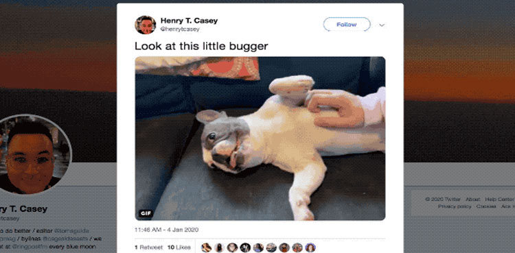 Twitter GIFs