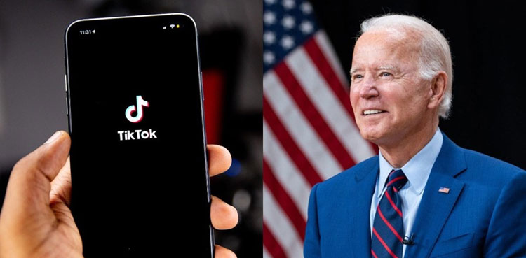 Joe Biden, TikTok, US President, Building Back Together