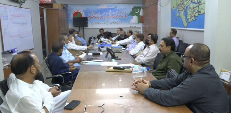 MQM-P, federal cabinet, Rabita Committee