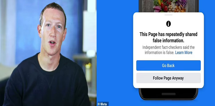 Meta, Bug, Facebook, Misinformation