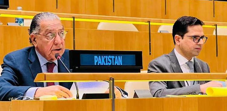 ‘Inflexibility’ of India and allies delaying UNSC reform efforts: Pakistan