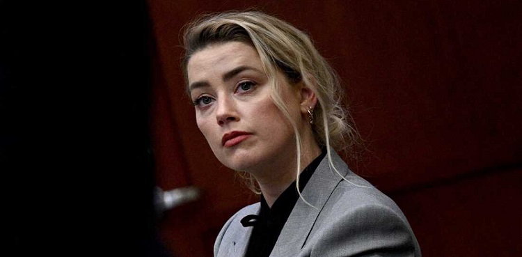 Amber Heard twin personlaity disorder, johnny depp defamation case