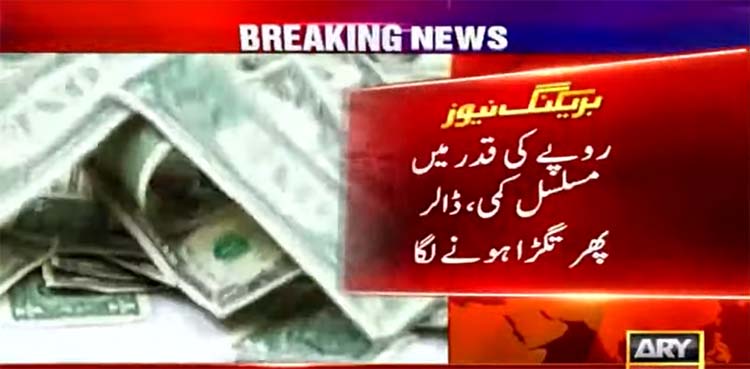 us dollar, rupee, sbp,