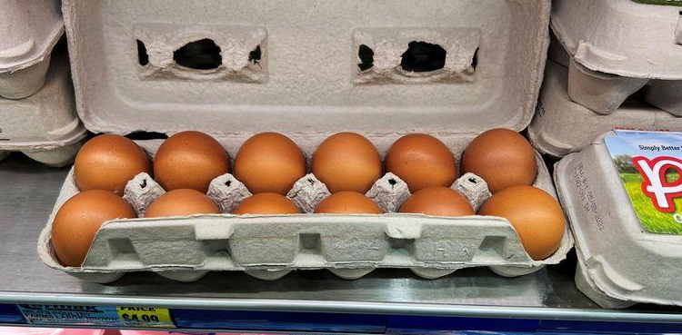 Egg Prices Higher Worldwide After Bird Flu, Ukraine War