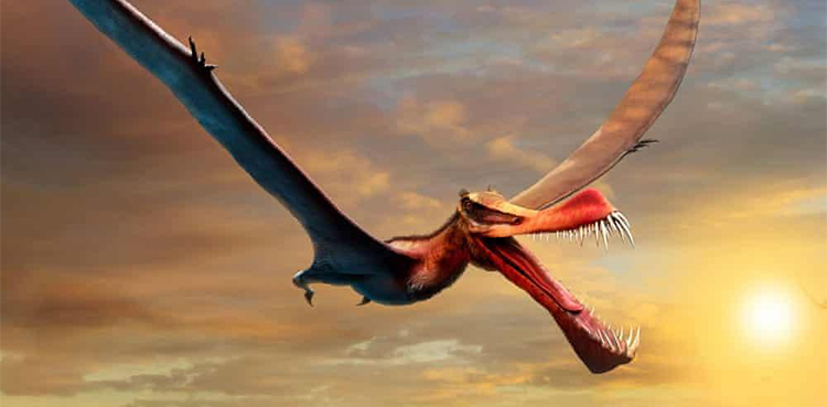 Scientists discover ancient cemetery of flying reptiles