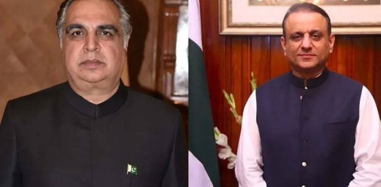 Aleem Khan’s remarks about PM Imran’s wife ‘below dignity’: governor