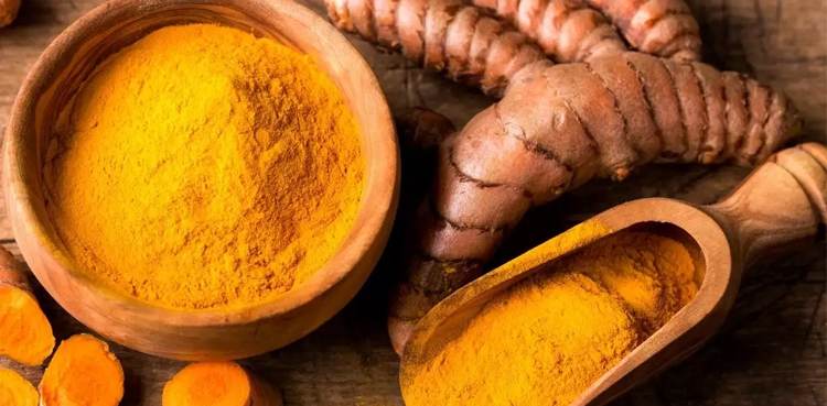 turmeric-compound-helps-grow-engineered-blood-vessels