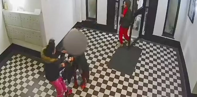 VIRAL: Robbers Beat Woman And Steal Purse Video