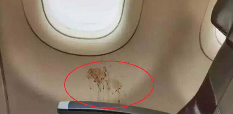 inside plane, Gutka stain, IAS, netizens fuming