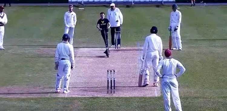 cricket pitch, cricket, pitch, viral video, video, viral