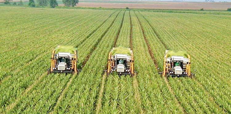 pakistan-china-sign-mou-to-boost-agricultural-cooperation